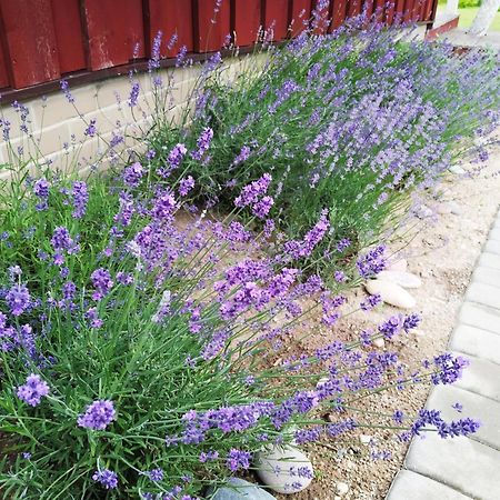 9 Min From Palanga! Luxury House On The River And Sauna 크레팅가 외부 사진