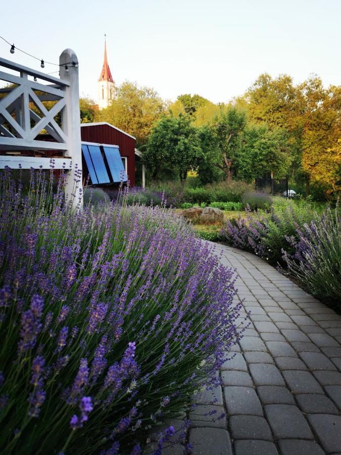 9 Min From Palanga! Luxury House On The River And Sauna 크레팅가 외부 사진