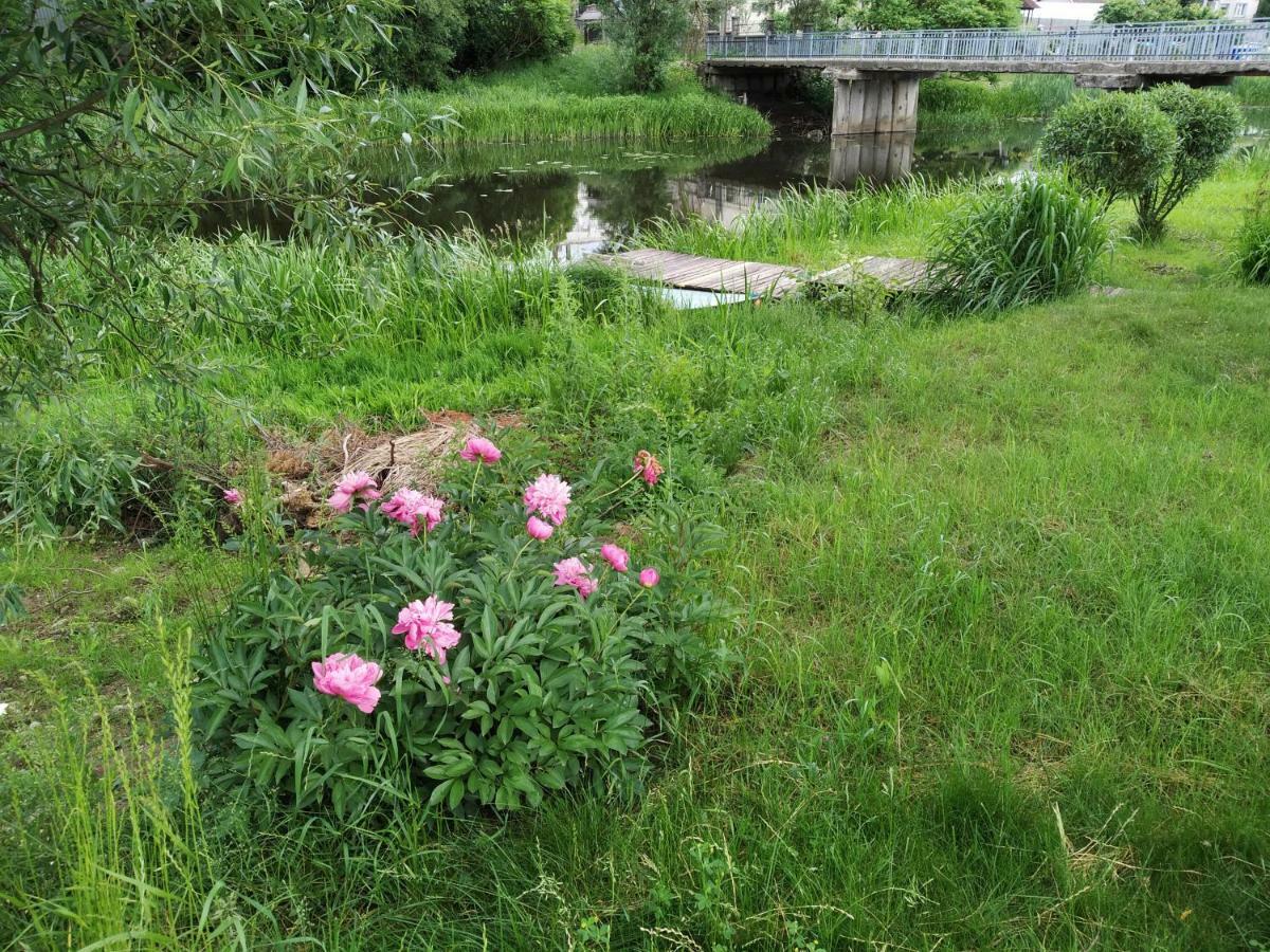 9 Min From Palanga! Luxury House On The River And Sauna 크레팅가 외부 사진